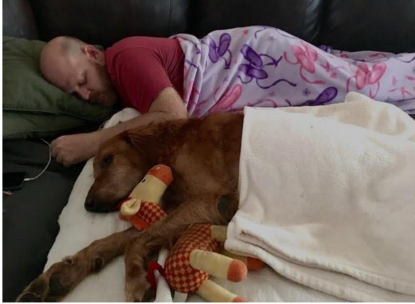 The Ill Dog's Miraculous Recovery From His Final Town Ride - Vfastories